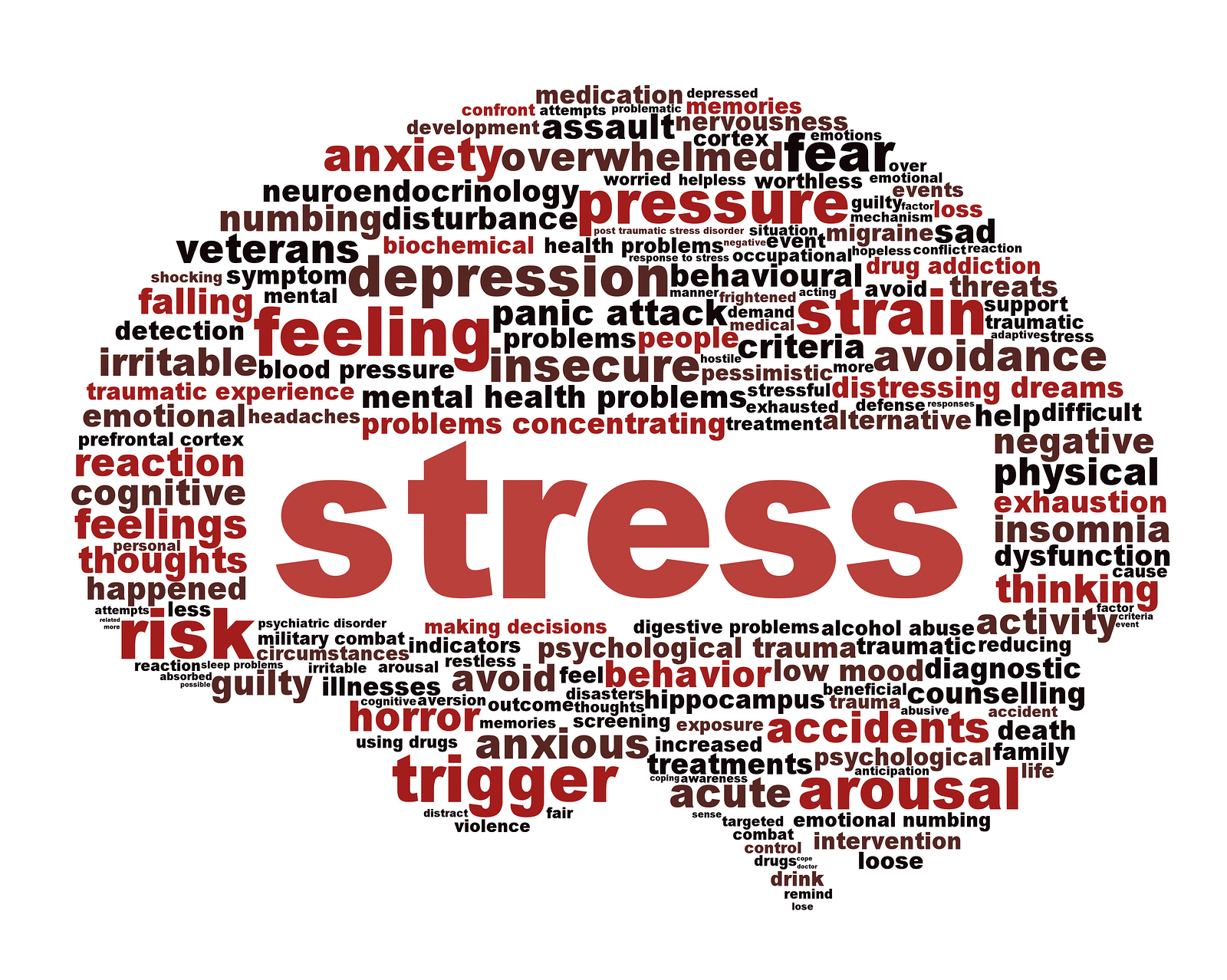 Stress and the Brain